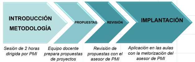 Int metodología PMIef